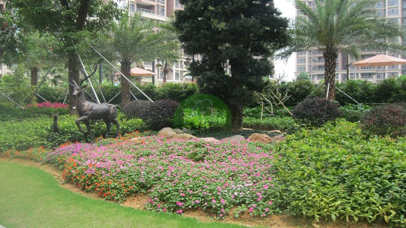 小区绿化景观设计：从规划到实施的五大关键步骤**