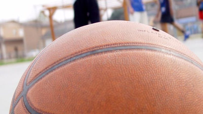 小区绿化设计优缺点分析：如何打造宜居生态空间