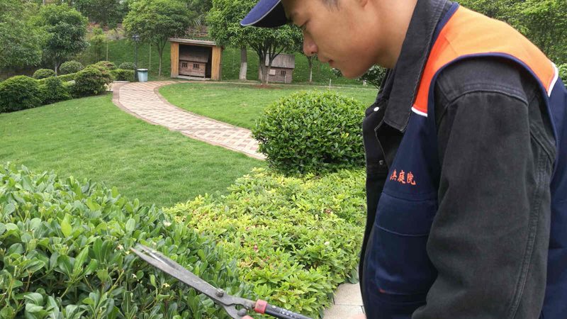 市政绿化工程公司承包流程：关键环节与注意事项**