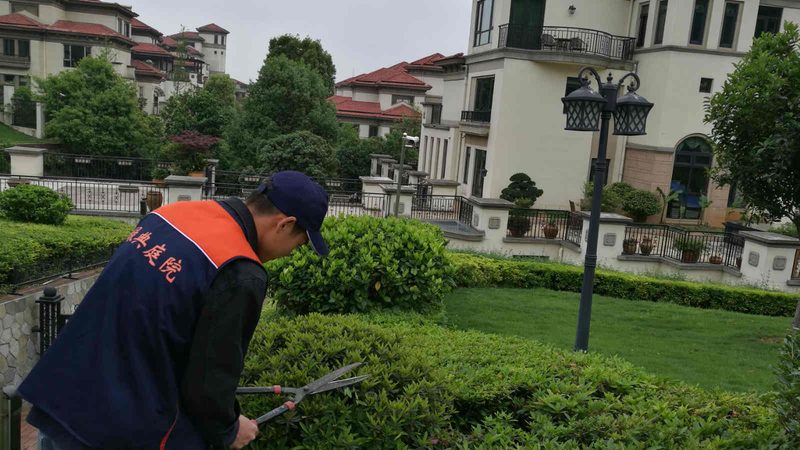 商场花卉租摆，如何选择性价比之选？**