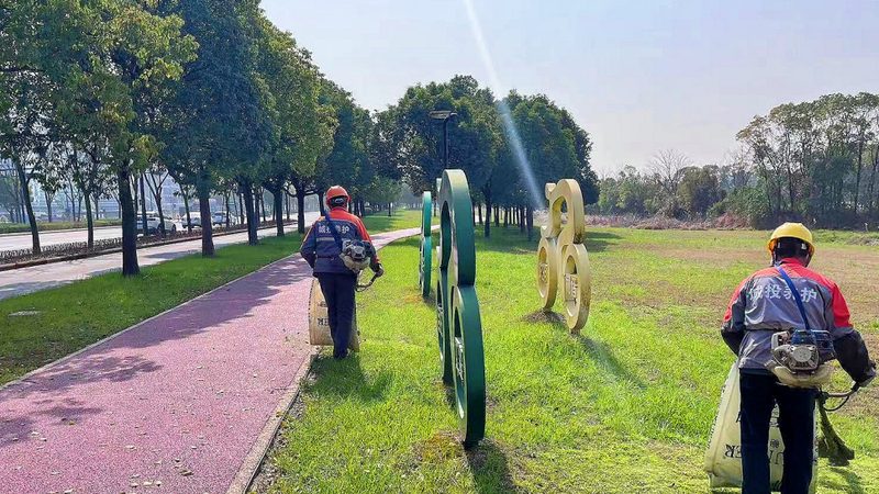 果岭草草坪杂草清除，这些技巧你掌握了吗？**