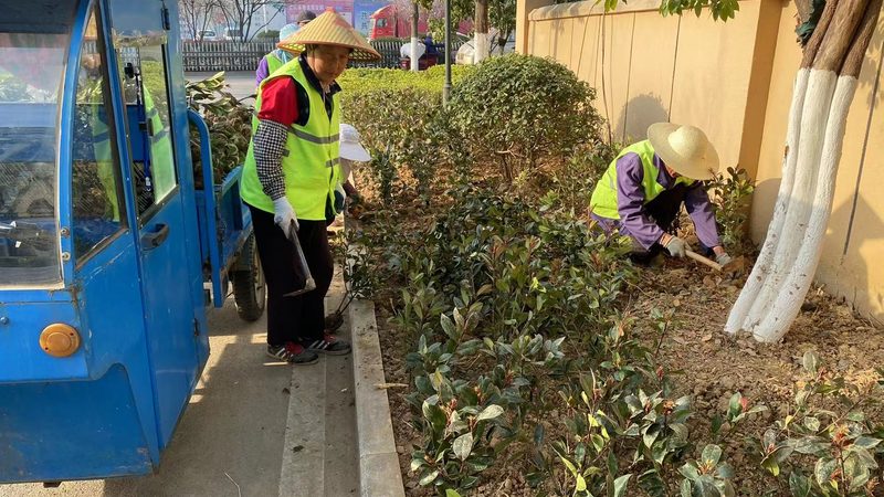 园林绿化苗木清单分类标准：规范与解读**