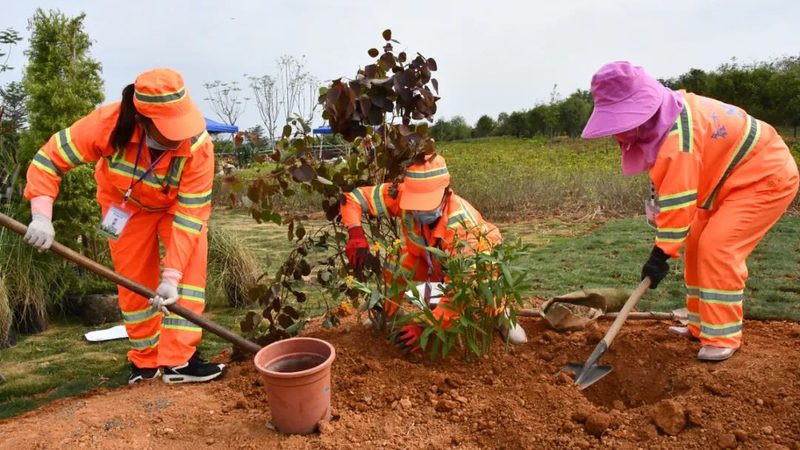 成都花卉租摆公司安装流程全解析
