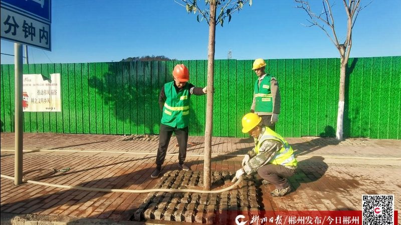 新中式别墅庭院设计，该从哪家开始看