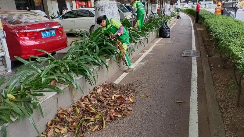 别墅花园设计报价清单：揭秘设计与成本的奥秘**