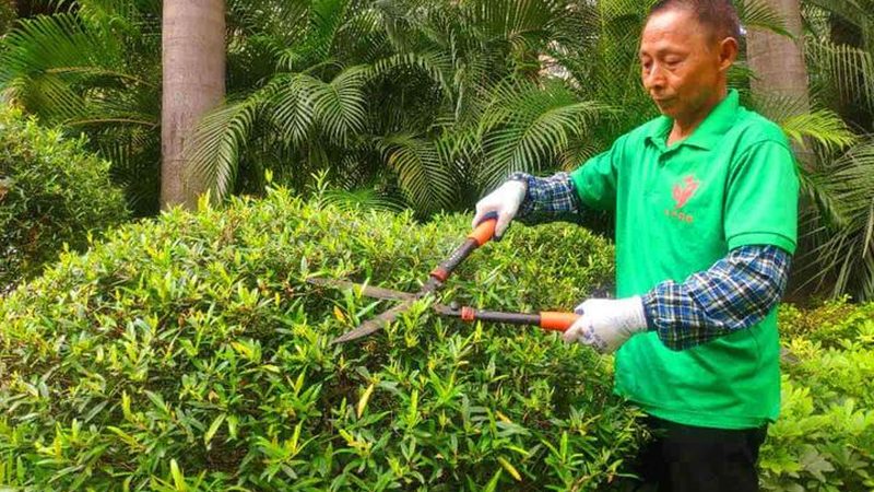 植物墙自动滴灌设备：揭秘其核心原理与选型要点**