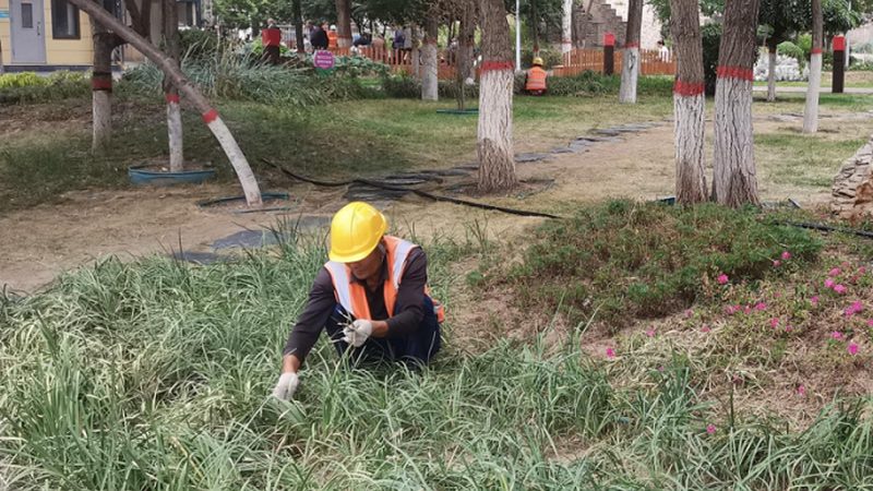 高端小区绿化设计效果图：如何打造宜居生态空间**