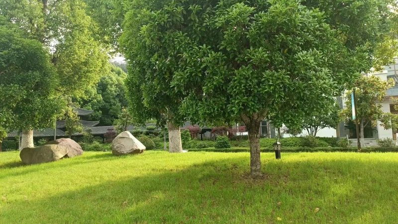 绿化工程验收报价清单：关键要素与解读**