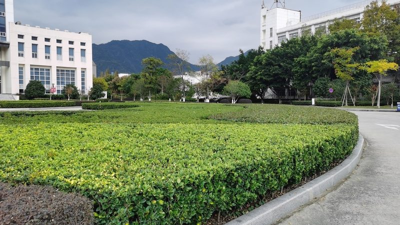 绿化养护项目加盟：成本构成与决策要点**