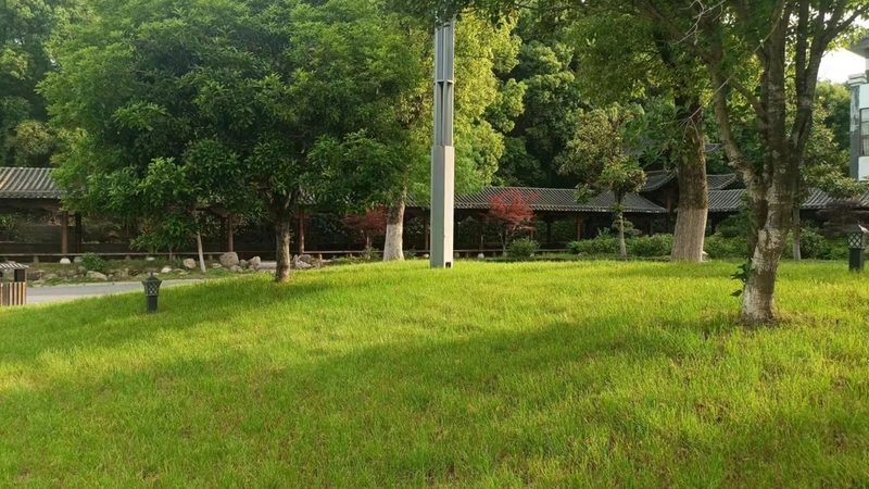 室外植物墙施工，这几点注意事项你了解吗？**