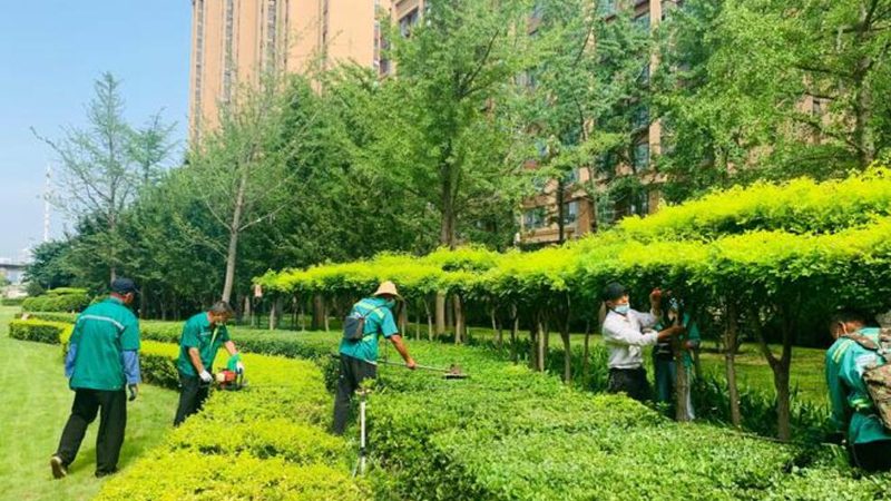花卉租摆代理资质，你知道多少？**